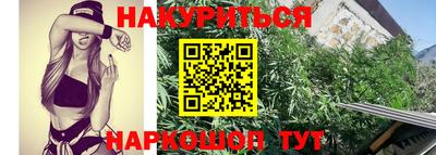спиды Тара