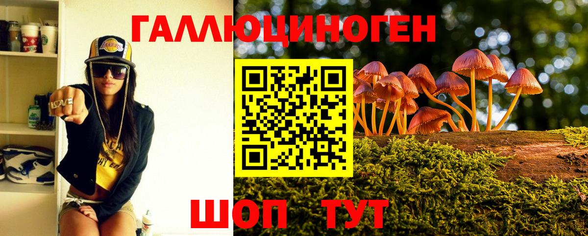 Псилоцибиновые грибы мухоморы  где можно купить   Татарск  Вход с VPN 